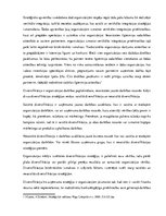 Konspekts 'Korporatīva un biznesa līmeņa stratēģijas', 4.