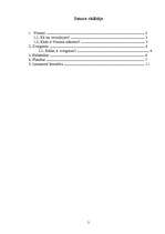 Referāts 'Visums', 2.