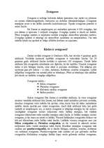 Referāts 'Visums', 4.