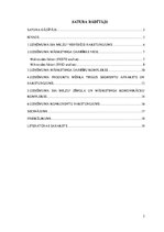 Referāts 'Uzņēmuma SIA "Milzu!" mārketinga darbības izvērtējums un pilnveides iespējas', 2.