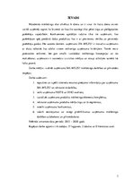 Referāts 'Uzņēmuma SIA "Milzu!" mārketinga darbības izvērtējums un pilnveides iespējas', 3.