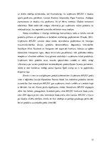 Referāts 'Uzņēmuma SIA "Milzu!" mārketinga darbības izvērtējums un pilnveides iespējas', 15.