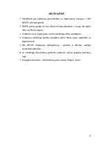 Referāts 'Uzņēmuma SIA "Milzu!" mārketinga darbības izvērtējums un pilnveides iespējas', 17.