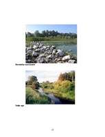 Konspekts 'Ziemeļvidzemes biosfēras rezervāts', 13.