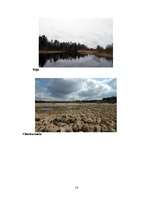Konspekts 'Ziemeļvidzemes biosfēras rezervāts', 14.