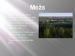 Prezentācija 'Meža ekosistēma', 2.