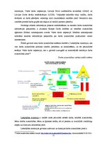 Referāts 'Administratīvie pārkāpumi darba un iedzīvotāju veselības aizsardzībā', 15.