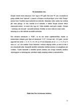 Referāts 'Eiropas vienotās valūtas ieviešana', 13.