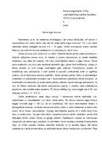 Eseja 'Darba tirgus resurss', 1.