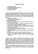 Konspekts 'Pavadzīmes uzskaite', 1.