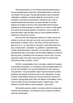 Eseja 'Nīčes politiskās filosofijas galvenā problemātika', 3.