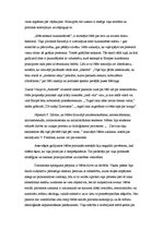 Eseja 'Nīčes politiskās filosofijas galvenā problemātika', 7.