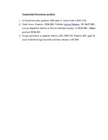 Konspekts 'Tiesneša Alda Laviņa atsevišķās domas Satversmes tiesas spriedumam lietā 2019-33', 6.