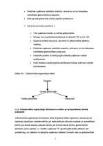 Prakses atskaite 'Grāmatvedības paņēmienu pielietojums', 5.