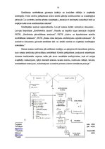 Diplomdarbs 'Nebanku kreditēšana Latvijā', 53.