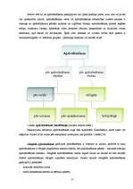 Diplomdarbs 'AAS BTA darbības pilnveidošana tirgus daļas palielināšanā', 17.