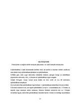 Diplomdarbs 'AAS BTA darbības pilnveidošana tirgus daļas palielināšanā', 82.