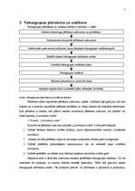 Referāts 'Fokusgrupas, to izmantošana un ierobežojumi', 7.