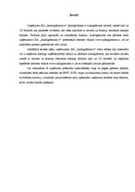 Biznesa plāns 'Uzņēmuma SIA "Audiogrāmatas.lv" biznesa plāns', 6.