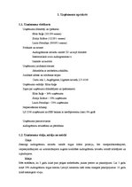 Biznesa plāns 'Uzņēmuma SIA "Audiogrāmatas.lv" biznesa plāns', 7.