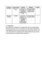 Biznesa plāns 'Uzņēmuma SIA "Audiogrāmatas.lv" biznesa plāns', 13.