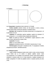 Biznesa plāns 'Uzņēmuma SIA "Audiogrāmatas.lv" biznesa plāns', 14.
