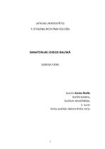 Biznesa plāns 'Sanatorijas izveide Bauskā', 1.