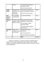 Biznesa plāns 'Sanatorijas izveide Bauskā', 20.