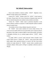 Referāts 'SIA "Agilin" finanšu analīze', 1.