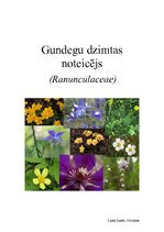 Konspekts 'Gundegu dzimtas noteicējs', 1.