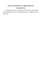 Referāts 'Meža meliorācija', 13.