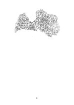 Referāts 'Meža meliorācija', 80.