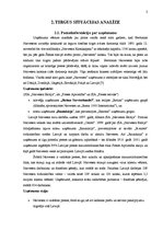 Referāts 'Mārketinga plāns', 3.