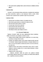 Referāts 'Mārketinga plāns', 4.