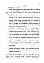 Referāts 'Mārketinga plāns', 5.