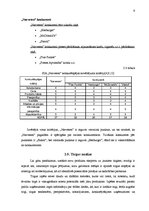 Referāts 'Mārketinga plāns', 9.