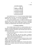 Referāts 'Mārketinga plāns', 18.