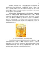 Referāts 'Mārketinga plāns', 19.