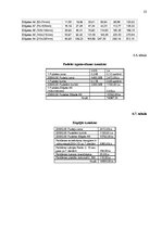 Referāts 'Mārketinga plāns', 23.