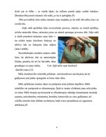 Referāts 'Māls kā derīgais izraktenis', 8.