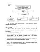 Konspekts 'Radioaktīvais starojums', 3.