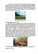 Referāts 'Pārgājiena maršruts pa Madonas rajonu “Madonas apkārtnes kalni un ezeri”', 18.