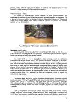 Referāts 'Pārgājiena maršruts pa Madonas rajonu “Madonas apkārtnes kalni un ezeri”', 20.