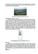 Referāts 'Pārgājiena maršruts pa Madonas rajonu “Madonas apkārtnes kalni un ezeri”', 21.