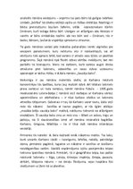 Referāts 'Alberts Bels', 10.