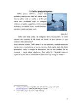 Referāts 'Delfīns - draugs un palīgs', 10.