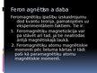 Prezentācija 'Feromagnētiķi', 6.