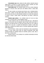 Konspekts 'Mārketinga koncepcijas. Cenu veidošanas stratēģijas un metodes', 14.