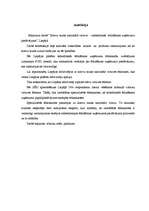 Referāts 'Krievu tautas nacionālā virtuve - sabiedriskās ēdināšanas uzņēmumu piedāvājums L', 2.