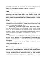 Referāts 'Krievu tautas nacionālā virtuve - sabiedriskās ēdināšanas uzņēmumu piedāvājums L', 8.